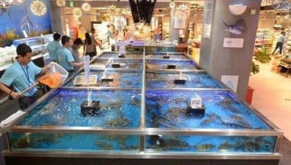 水族館進(jìn)貨渠道（水族館進(jìn)貨渠道的優(yōu)化策略）