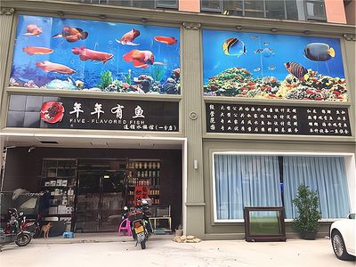 開水族館掙錢嗎現(xiàn)在（開一家水族館是否盈利取決于多種因素） 水族館百科（水族館加盟） 第4張