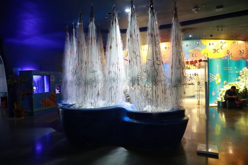 水族館怎么取創(chuàng)意名（如何評估水族館名字的吸引力） 水族館百科（水族館加盟） 第4張