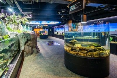 水族館是什么？（世界上第一個供展覽用的水族館在全球范圍內迅速發(fā)展） 水族館百科（水族館加盟） 第5張