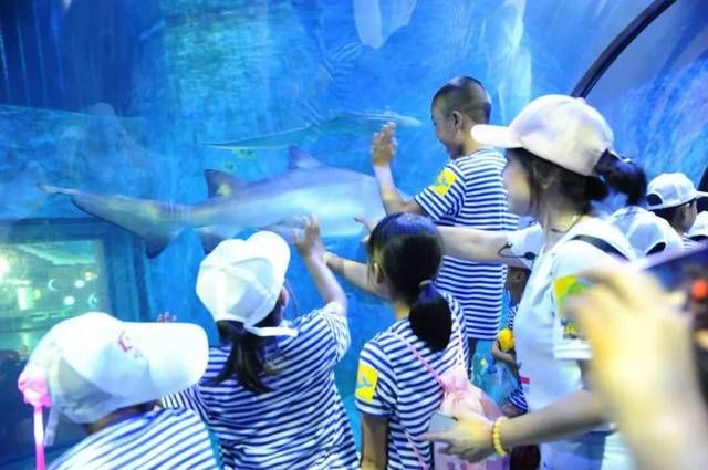 水族館是什么？（世界上第一個供展覽用的水族館在全球范圍內迅速發(fā)展） 水族館百科（水族館加盟） 第4張