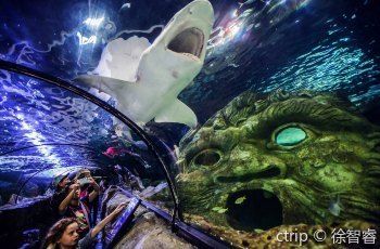 水族館價(jià)格表大全（水族館價(jià)格表） 水族館百科（水族館加盟） 第5張