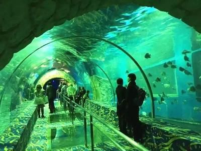 水族館在哪里？（南京水族館特色展覽介紹阿布扎比國家水族館互動體驗） 水族館百科（水族館加盟） 第4張