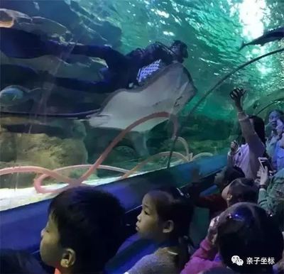 水族館工作人員是多少工資（水族館工作人員工資待遇如何） 水族館百科（水族館加盟） 第4張