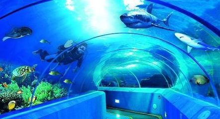 開一個水族館大概需要多少錢（開一個水族館需要多少錢？）