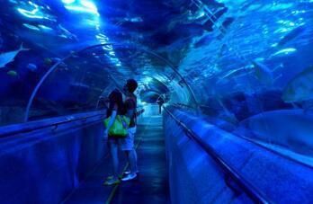 小型水族館一天能賺多少錢人民幣（小型水族館每日收入受多種因素影響小型水族館每日收入估算） 水族館百科（水族館加盟） 第4張