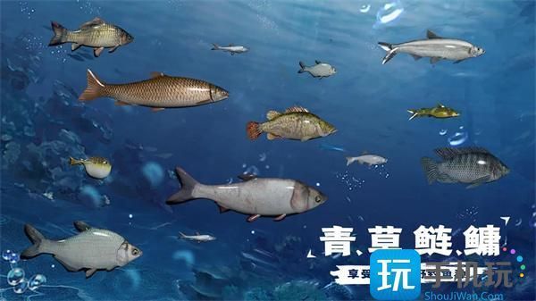 小型水族館一天能賺多少錢人民幣（小型水族館每日收入受多種因素影響小型水族館每日收入估算） 水族館百科（水族館加盟） 第5張