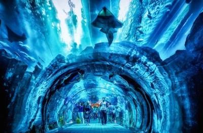 十大水族館（上海海洋水族館、上海海洋水族館、上海海洋水族館）