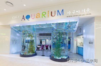 水族館里面都有什么（參觀水族館的最佳季節(jié)）