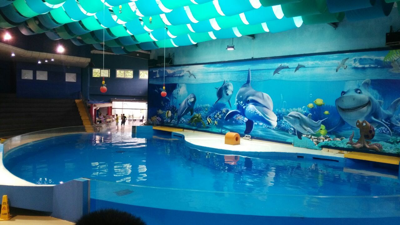 水族館一般多少錢一個(gè)月?。ㄩ_一家水族館涉及多種費(fèi)用） 水族館百科（水族館加盟） 第4張