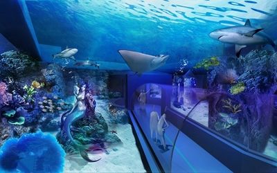 水族館一般多少錢一個(gè)月啊（開一家水族館涉及多種費(fèi)用） 水族館百科（水族館加盟） 第5張