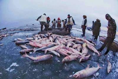 國內(nèi)紅龍魚繁殖基地排名第一（國內(nèi)紅龍魚繁殖基地排名） 龍魚百科 第3張