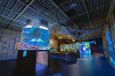 品牌水族館加盟排行榜最新（品水族館加盟排行榜）