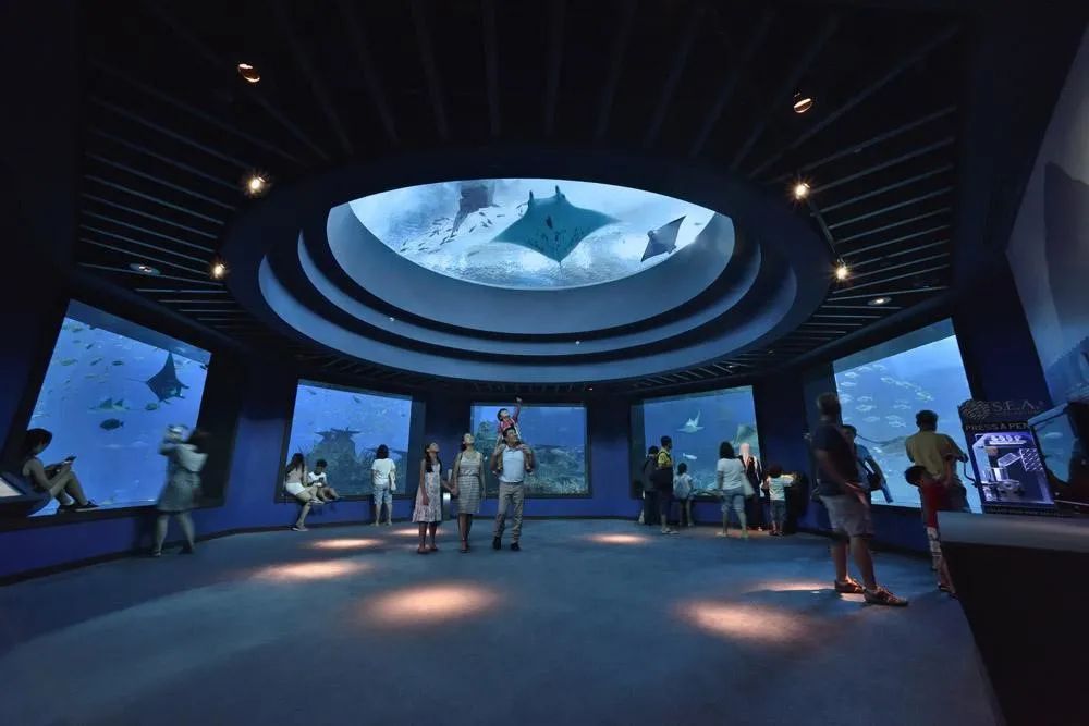 水族館發(fā)展現(xiàn)狀怎么寫（關(guān)于水族館發(fā)展現(xiàn)狀的建議）