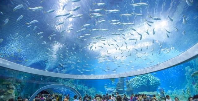 國內(nèi)水族館排行（2018年國內(nèi)水族館排行榜）