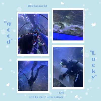 水族館作文600字（《游水族館》作文） 水族館百科（水族館加盟） 第5張