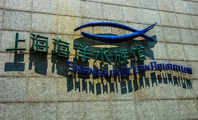 水族館的門票（上海海洋水族館會(huì)員福利介紹） 水族館百科（水族館加盟） 第2張