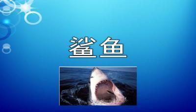 比較好的水族館（上海水族館夜間特別開(kāi)放日上海水族館附近美食推薦） 水族館百科（水族館加盟） 第2張