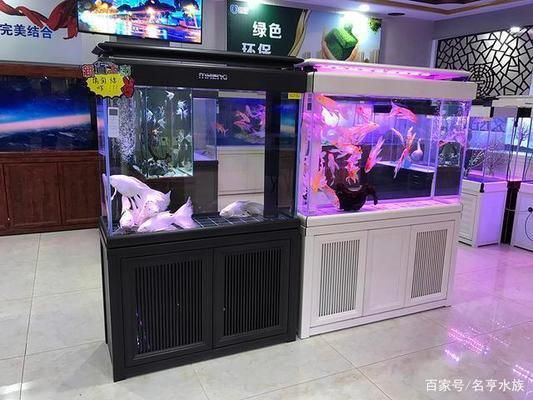 水族館一年能賺多少錢?。ㄋ屦^年收入如何計算？）