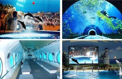 水族館是啥意思（上海海洋水族館特色展覽有哪些水族館對環(huán)保意識提升作用）