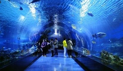 水族館是啥意思（上海海洋水族館特色展覽有哪些水族館對環(huán)保意識提升作用）