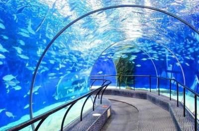 開一家水族館需要些什么證件和材料（開一家水族館需要什么證件和材料）