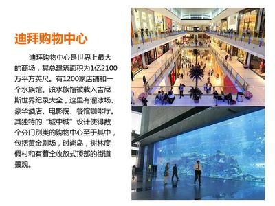 水族館店鋪分類屬于什么類型（觀賞魚專營(yíng)店,綜合型水族館店鋪,） 水族館百科（水族館加盟） 第5張