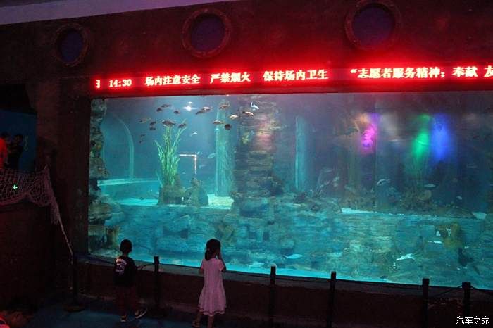 做水族館生意怎么樣啊好做嗎（水族館生意的可行性） 水族館百科（水族館加盟） 第4張