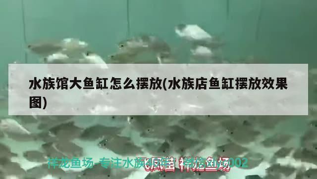 水族館擺放位置（水族館擺放風(fēng)水講究，客廳西南方擺魚缸效果）