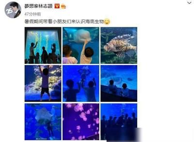 水族館配文（上海海洋水族館特色展覽）