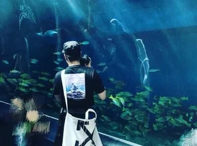 水族館配文（上海海洋水族館特色展覽） 水族館百科（水族館加盟） 第5張