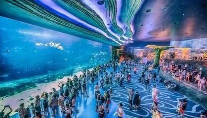 水族館投資大概多少錢一個月（開一個水族館的投資成本是多少） 水族館百科（水族館加盟） 第5張