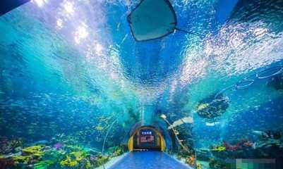 水族館投資大概多少錢一個(gè)月（開一個(gè)水族館的投資成本是多少）