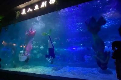 水族館投資大概多少錢一個月（開一個水族館的投資成本是多少） 水族館百科（水族館加盟） 第1張