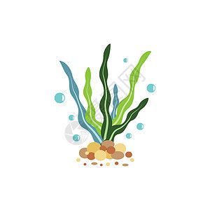 水族館牌子圖片（水族館牌子的設(shè)計(jì)與制作）