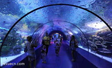 全國水族館排名（2018全國水族館排名） 水族館百科（水族館加盟） 第2張