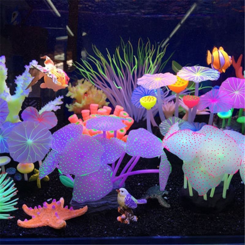 水族館店里買什么花合適一點(diǎn)（水族館水草養(yǎng)護(hù)技巧,水草造景搭配指南,水草繁殖方法介紹）