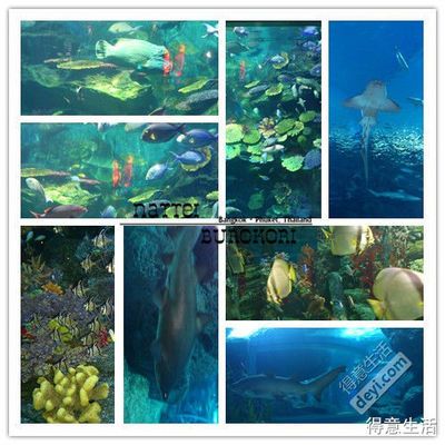 水族館的英語怎么寫（\