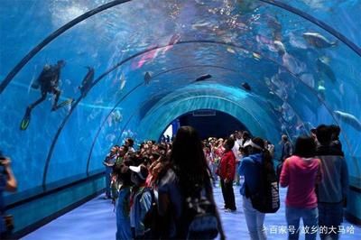 中國最好水族館的排行（大連老虎灘極地海洋館是中國首都的標志性海洋公園之一） 水族館百科（水族館加盟） 第4張