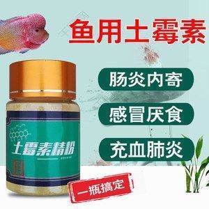 紅龍魚鰭上有白色點用土霉素可以治療嗎？（土霉素是治療紅龍魚鰭上白色點的有效藥物嗎？） 龍魚百科 第4張