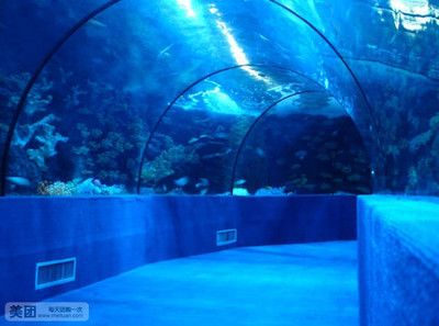 水族館是什么樣子的（上海海洋水族館的特色展區(qū)有哪些長沙觀賞魚水族館的游玩攻略） 水族館百科（水族館加盟） 第4張