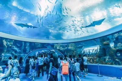 水族館取名字怎么?。ㄋ屦^名字怎么??？）