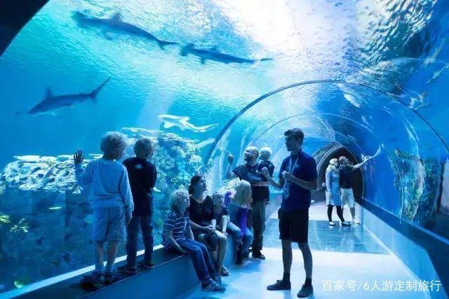 水族館取名字怎么?。ㄋ屦^名字怎么??？）