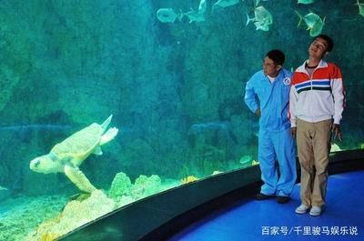 自制水族館（如何自制水族館）