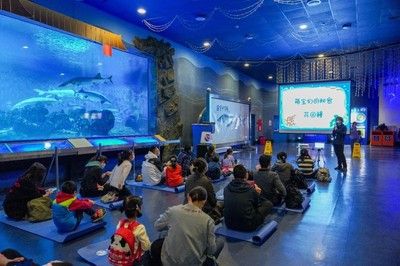 水族館開在什么地方合適（水族館如何選址） 水族館百科（水族館加盟） 第5張