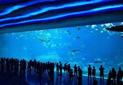 水族館開館時(shí)間（上海海洋水族館特色展覽介紹水族館開館時(shí)間表演時(shí)間表） 水族館百科（水族館加盟） 第1張