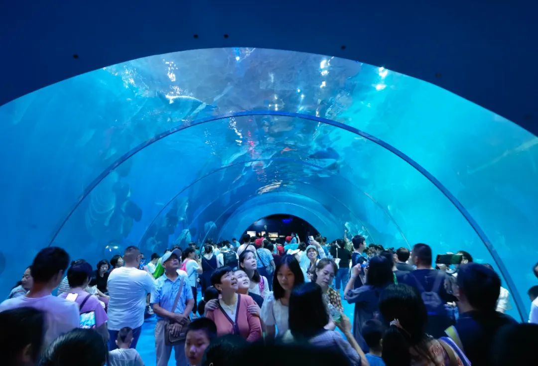 水族館開館時(shí)間（上海海洋水族館特色展覽介紹水族館開館時(shí)間表演時(shí)間表） 水族館百科（水族館加盟） 第3張