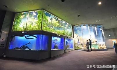 水族館賣什么紀(jì)念品比較好（水族館主題攝影展的購買指南）