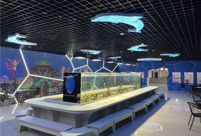 水族館名稱大全四個(gè)字（全球知名水族館名稱及其特點(diǎn)：水族館名稱及其特點(diǎn)）