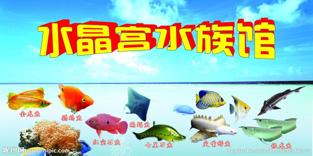 水族館魚類介紹大全（水族館中的魚類繁殖技術(shù)和水族館魚類繁殖技術(shù)介紹）